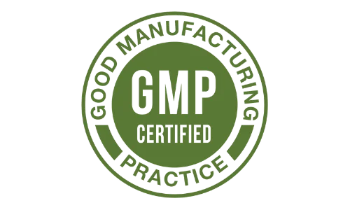 all day slimming tea gmp certified